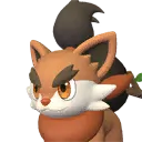Pupperai
